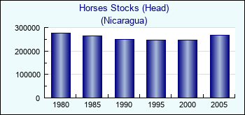 Nicaragua. Horses Stocks (Head)