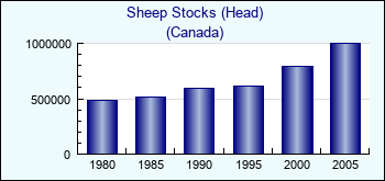 Canada. Sheep Stocks (Head)