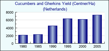 Netherlands. Cucumbers and Gherkins Yield (Centner/Ha)