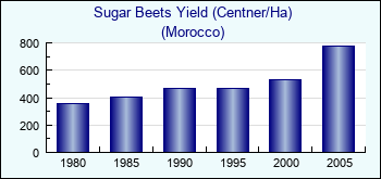 Morocco. Sugar Beets Yield (Centner/Ha)