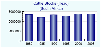 South Africa. Cattle Stocks (Head)