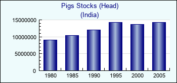 India. Pigs Stocks (Head)