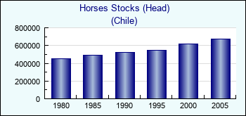 Chile. Horses Stocks (Head)