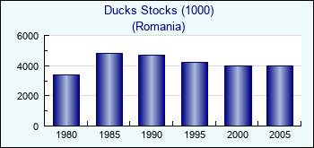 Romania. Ducks Stocks (1000)
