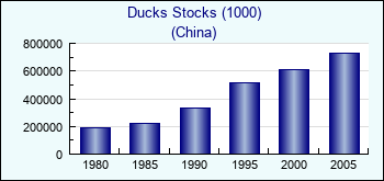 China. Ducks Stocks (1000)